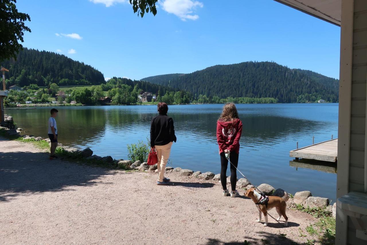 Chambres D'Hotes Le Chene Ban-sur-Meurthe-Clefcy Bagian luar foto